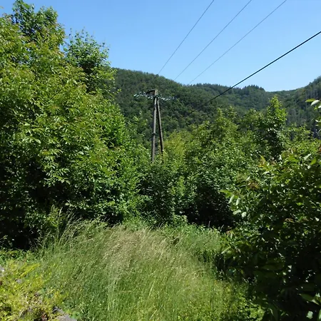 In Mit Whirlpool By Interhome Apartment Waldbreitbach