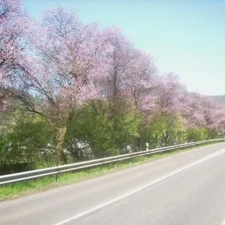 Apartment In Mit Whirlpool By Interhome Waldbreitbach