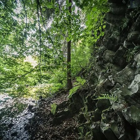 Apartment In Mit Whirlpool By Interhome Waldbreitbach