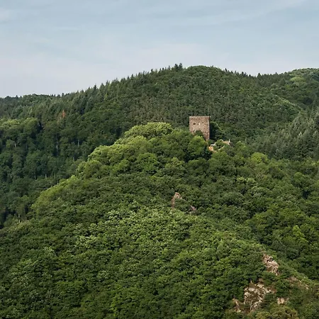 In Mit Whirlpool By Interhome Apartment *