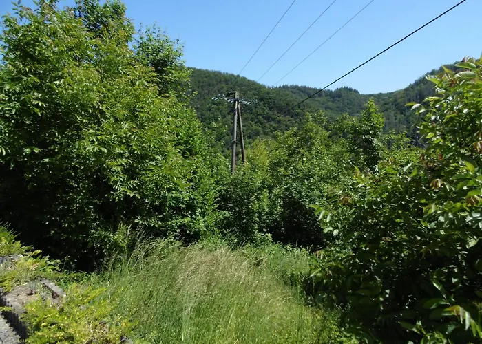 In Mit Whirlpool By Interhome Apartamento Waldbreitbach