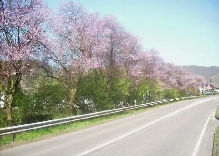 Apartamento In Mit Whirlpool By Interhome Waldbreitbach