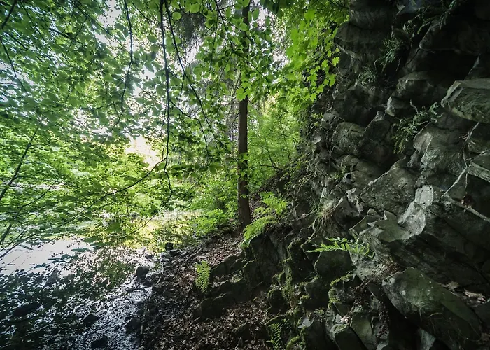 Apartamento In Mit Whirlpool By Interhome Waldbreitbach