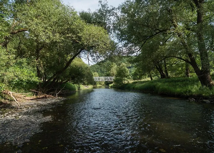 In Mit Whirlpool By Interhome Waldbreitbach